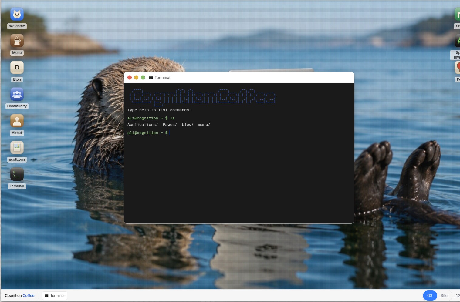 Screenshot of the Terminal window showing the ASCII banner and an ls listing